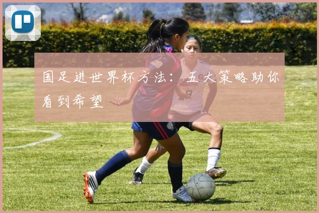 国足进世界杯方法：五大策略助你看到希望