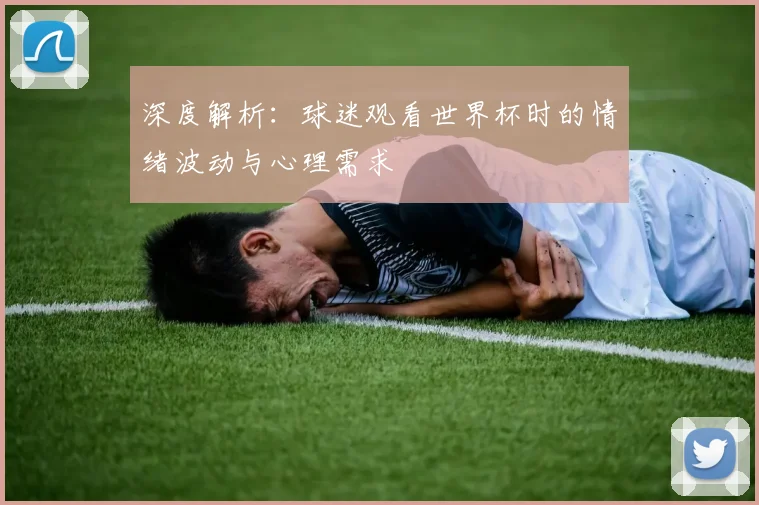 深度解析：球迷观看世界杯时的情绪波动与心理需求